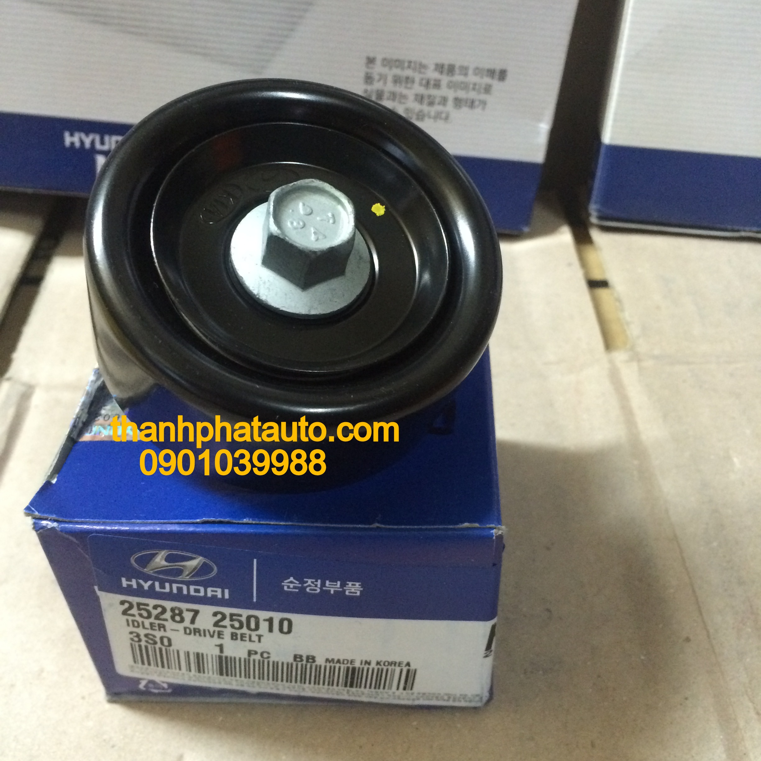 BI TỲ DÂY CUROA TỔNG